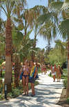 Royal Vikingen Resort 